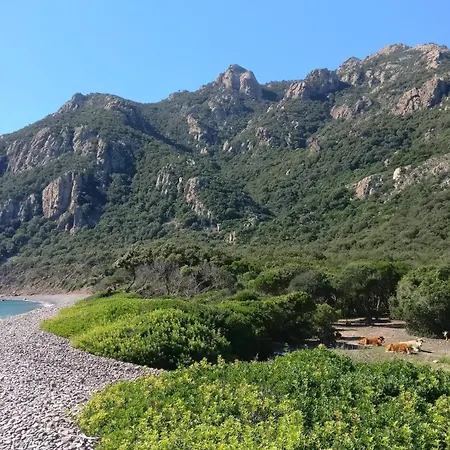 Vicino Al Mare Bacu E Ludu A דירה *