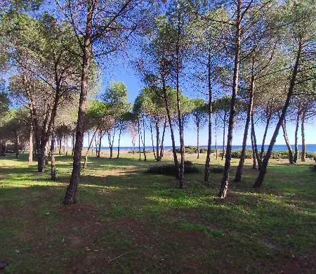 Vicino Al Mare Bacu E Ludu A Apartment Cardedu